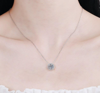 Moissanite Halo Solitaire Necklace - 1 ct
